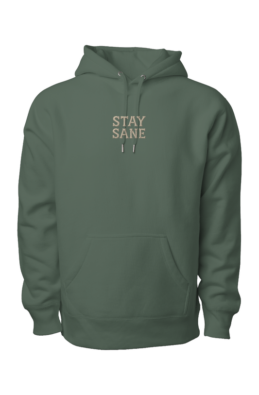 I Survived Everything Meant to Bury Me Hoodie